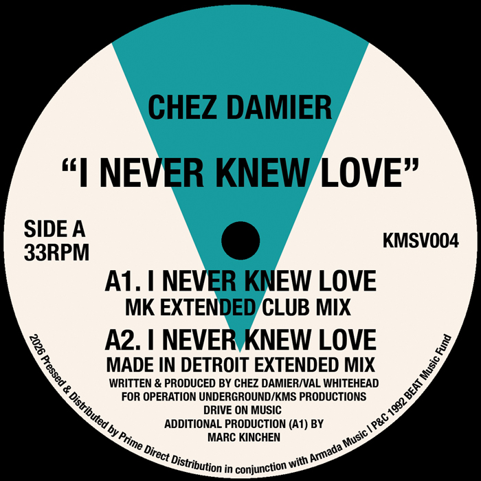I Never Knew Love